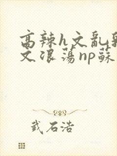 高辣h文乱乳h文浪荡np苏夏