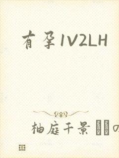 有孕1V2LH