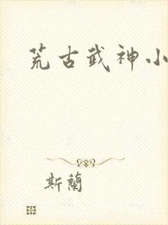 荒古武神小说