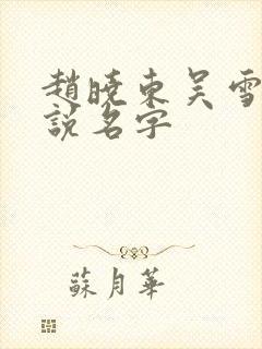 赵晓东吴雪晴小说名字