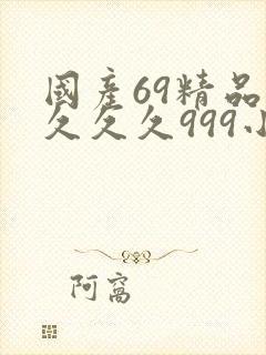 国产69精品久久久久999小说