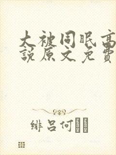 大被同眠高粱小说原文免费阅读封面