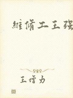 维修工王强张婷