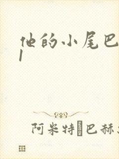 他的小尾巴1v1封面