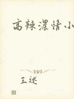 高辣浓情小说封面