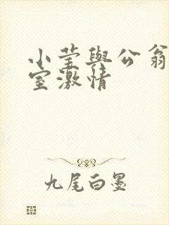 小莹与公翁办公室激情