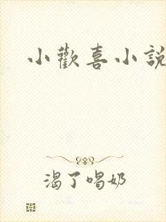 小欢喜小说