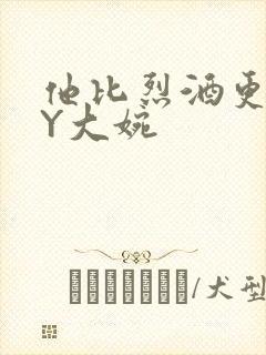 他比烈酒更撩BY大婉