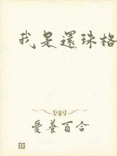 我是还珠格格封面