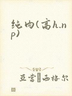 纯肉(高h.np)