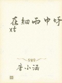 在细雨中呼喊txt