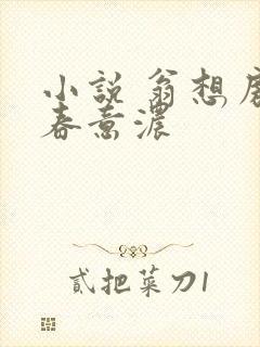 小说 翁想房中春意浓