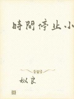 时间停止小说