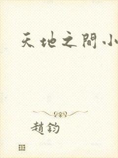 天地之间小说