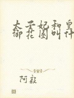 太子妃和皇帝在御花园叫什么小说封面