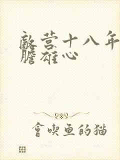 敌营十八年2虎胆雄心封面