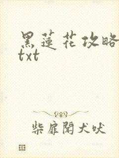 黑莲花攻略手册txt