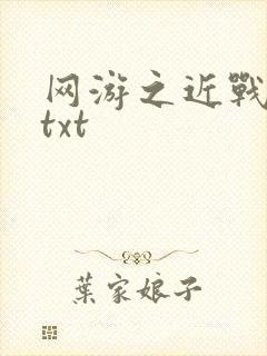 网游之近战法师txt封面