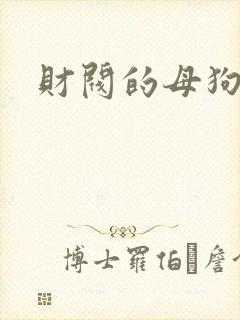 财阀的母狗们