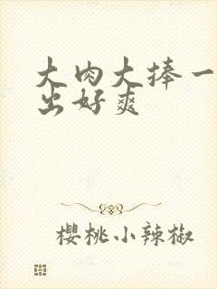 大肉大捧一进一出好爽