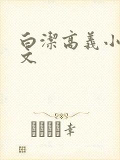 白洁高义小说全文