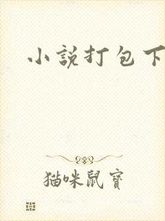 小说打包下载