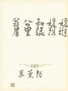 翁公和媛媛在厨房里猛烈进出封面