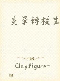 炎孕转校生封面