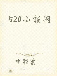 520小说网