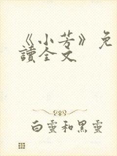 《小芳》免费阅读全文