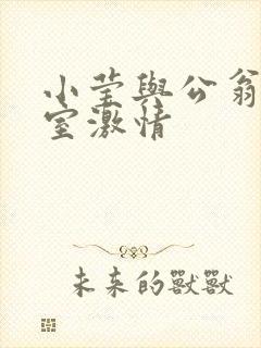 小莹与公翁办公室激情