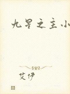 九星之主小说