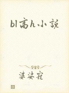 bl高h小说