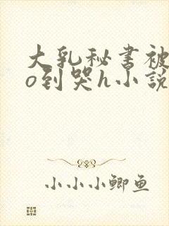 大乳秘书被cao到哭h小说