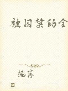 被囚禁的金丝雀