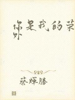 你是我的荣耀番外