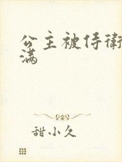 公主被侍卫填的满封面