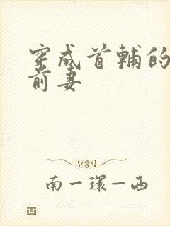 穿成首辅的炮灰前妻