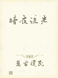 暗夜流光