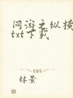 网游之纵横天下txt下载