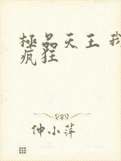 极品天王 我本疯狂