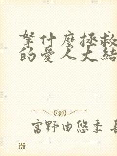 拿什么拯救你我的爱人大结局封面