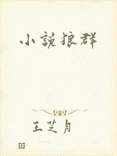 小说狼群
