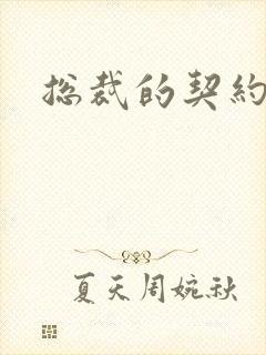 总裁的契约情人