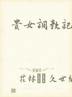 贵女调教记