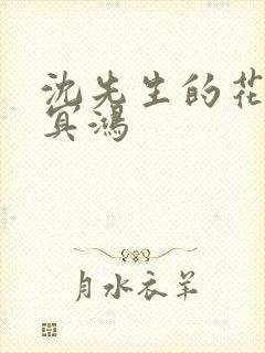 沈先生的花式调冥鸿封面