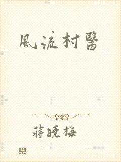 风流村医封面