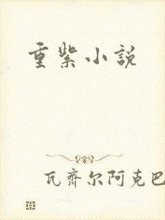重紫小说