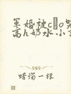 军婚被cαo哭高h奶水小说封面