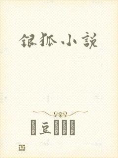 银狐小说封面